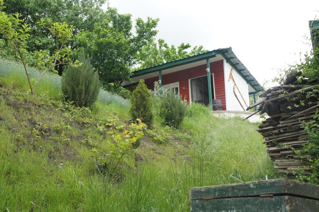 Casa Bella Turda Hotel Exterior photo